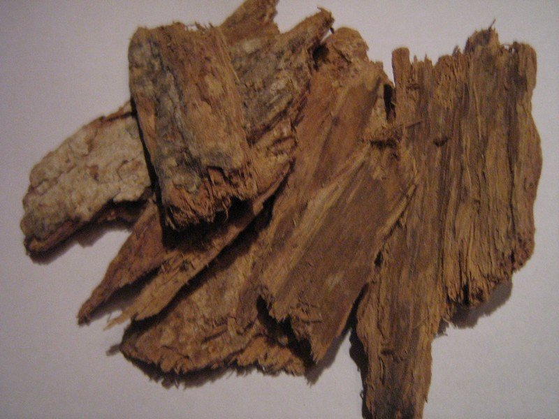 Irvingia gabonensis bark